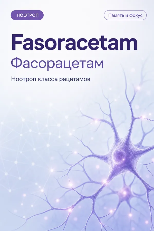 Фасорацетам (Fasoracetam) — Ноотроп (рацетам)
