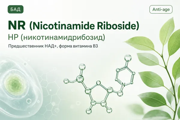 НР (никотинамидрибозид) (NR (Nicotinamide Riboside)) — Предшественник НАД+